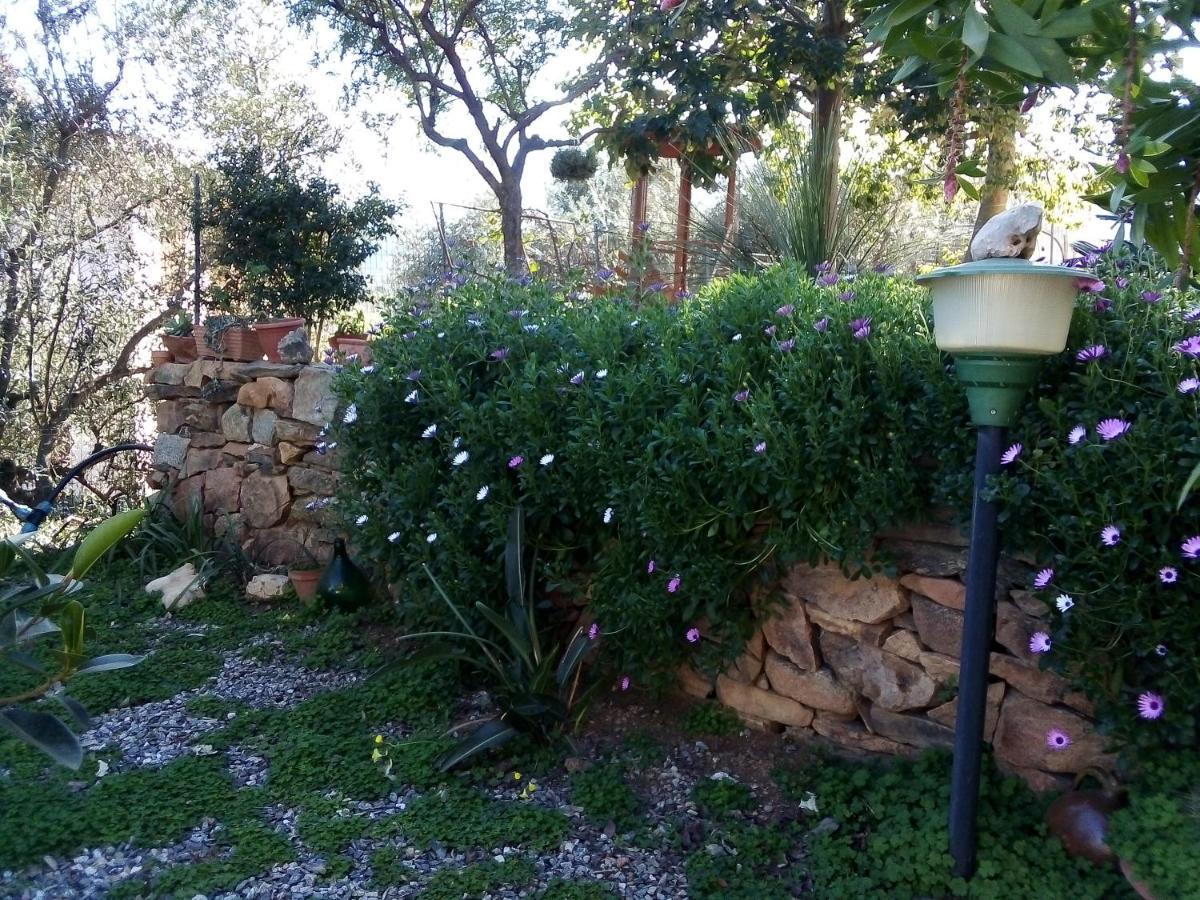 Appartamento Titina Jerzu Dış mekan fotoğraf
